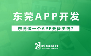 东莞APP软件开发费用解析 从需求到落地的预算构成